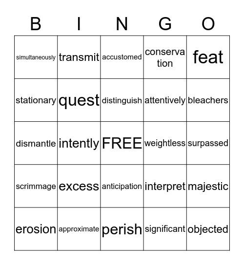 Vocabulary Level D Bingo Card