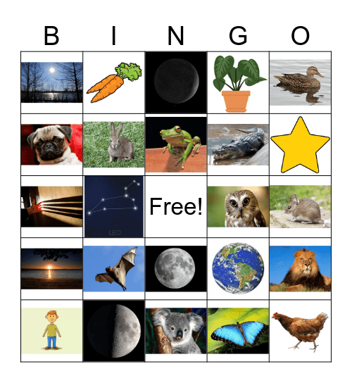 Nature Bingo Card