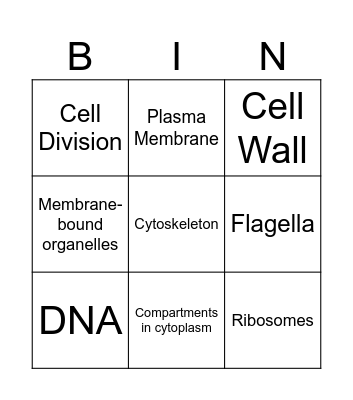Prokaryotic vs Bingo Card