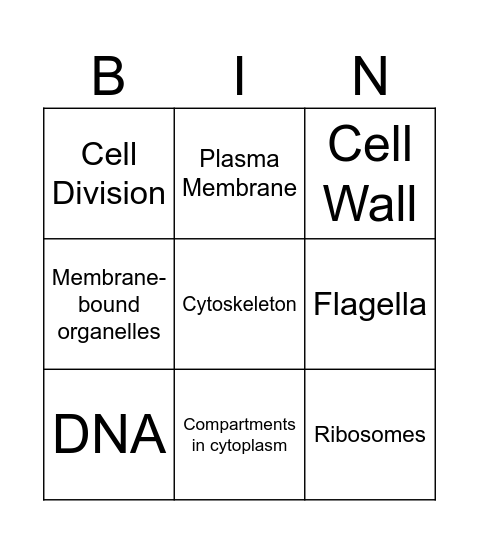 Prokaryotic vs Bingo Card