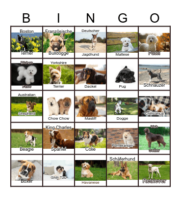 Dogs Bingo Card