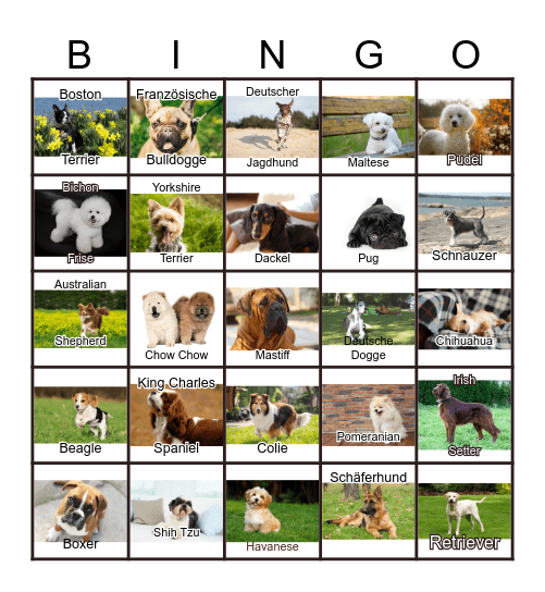 Dogs Bingo Card