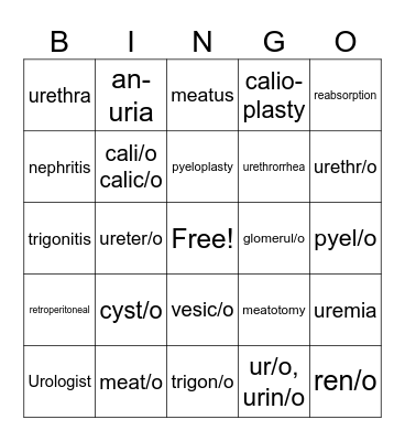 Urinary System Bingo Card
