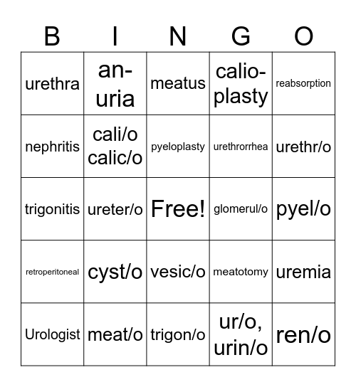Urinary System Bingo Card