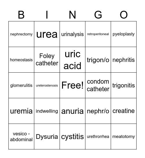 Urinary System # 2 Bingo Card