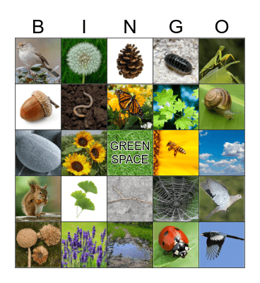 Summer Outdoors Bingo Card