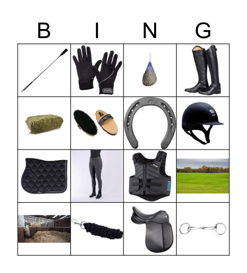 Paarden Bingo Card