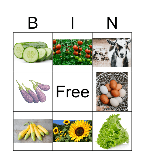 Night Owl Farm Bingo Card