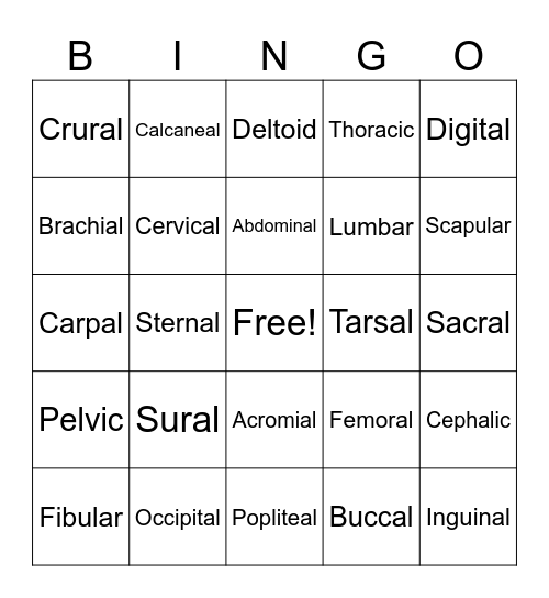 Anatomical Directions Bingo Card