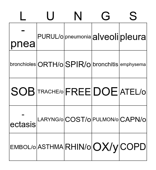 PULMONARY SYSTEM Bingo Card