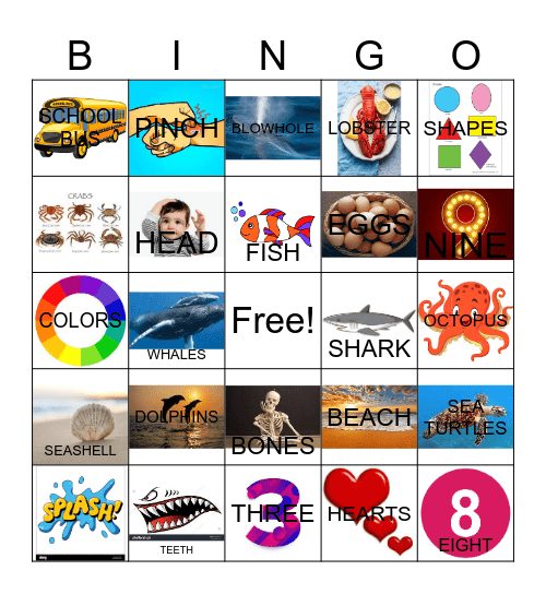 OCEAN LIFE Bingo Card