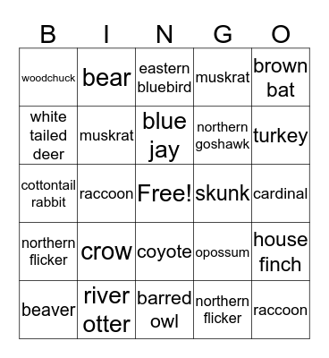 Envirothon Wildlife Bingo Card