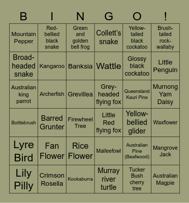 Ligeti Partners Australian Bingo! Bingo Card