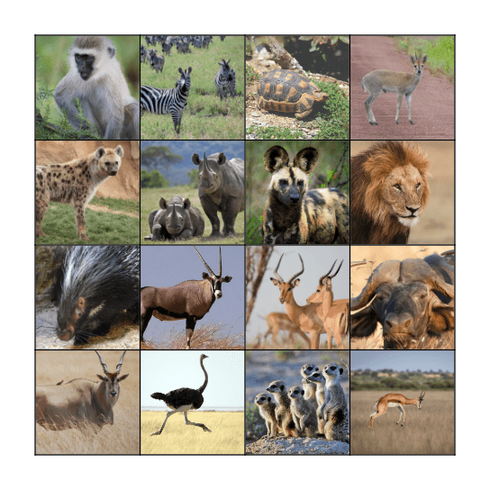 Awesome Animal Bingo Card