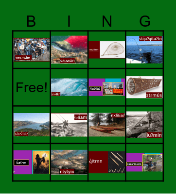 nselxcin  unit 9 salmon Bingo Card