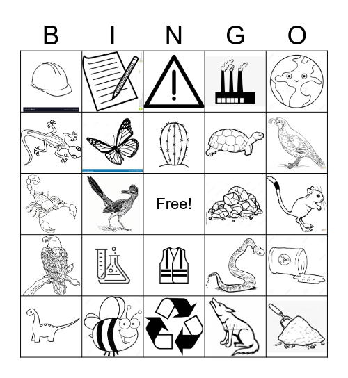 Science Bingo Card