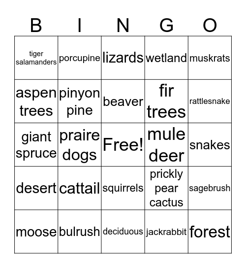 Plants and Animals Bingo Card