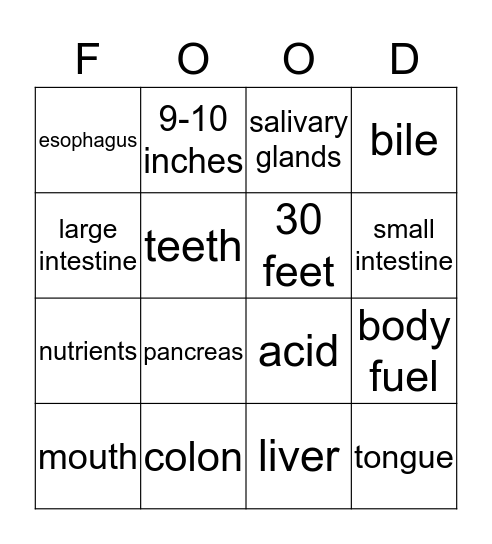 Digestive Bingo Card