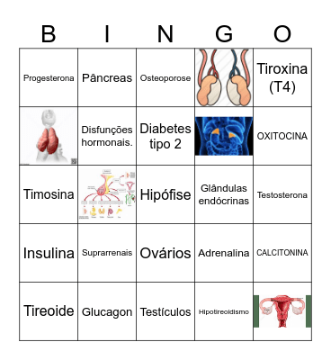 SISTEMA ENDÓCRINO Bingo Card