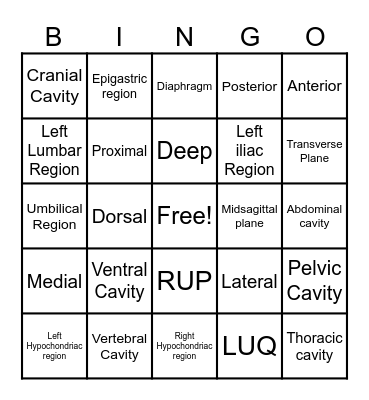 Language of Anatomy Bingo Card
