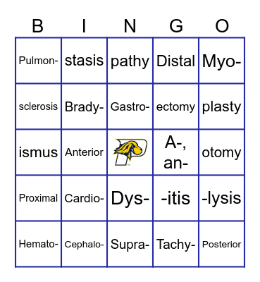 Medical Lingo Bingo Card