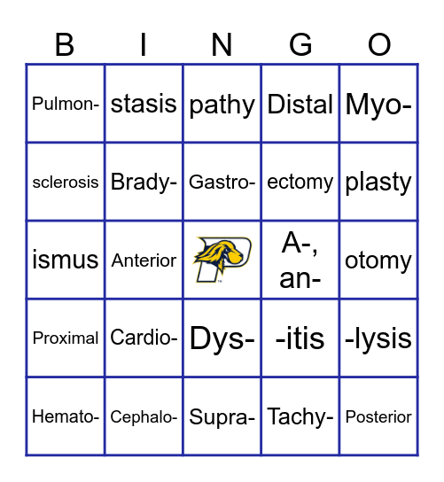 Medical Lingo Bingo Card