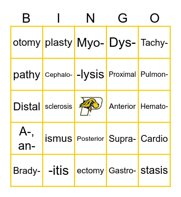 Medical Lingo Bingo Card