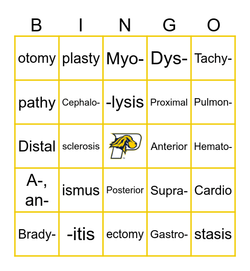 Medical Lingo Bingo Card