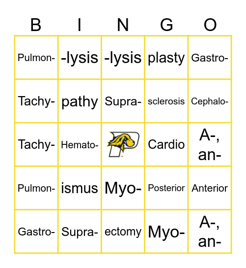 Medical Lingo Bingo Card
