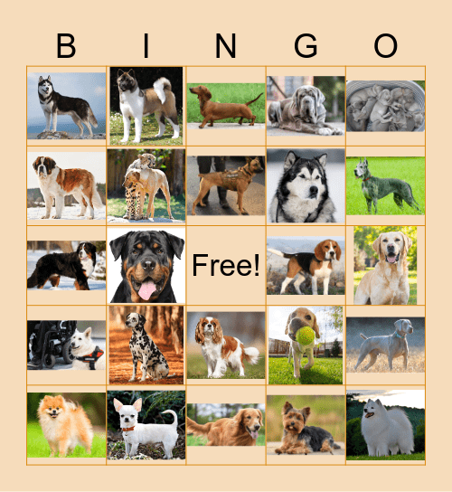 Dog Day Bingo Card