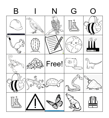 Science Bingo Card