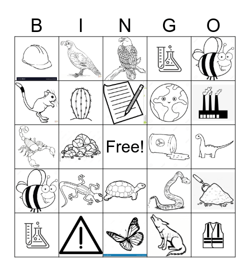 Science Bingo Card