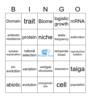 First Class Bingo Card