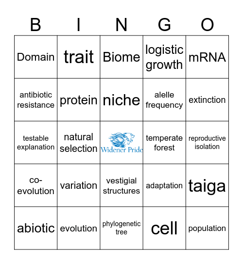 First Class Bingo Card