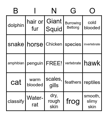 Animal Classification Bingo Card