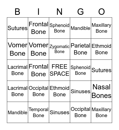 Cranial and Facial Bones  Bingo Card