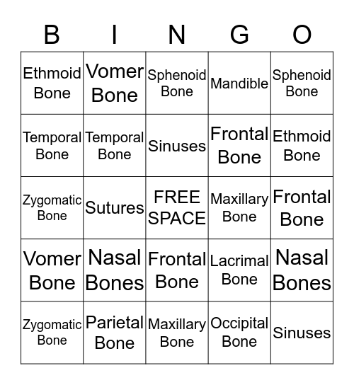 Cranial and Facial Bones Bingo Card