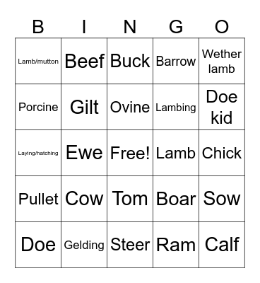 Livestock Terminology Bingo Card