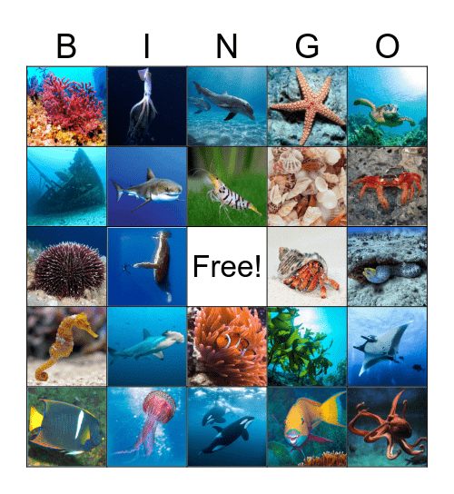 Under the Sea Bingo Card