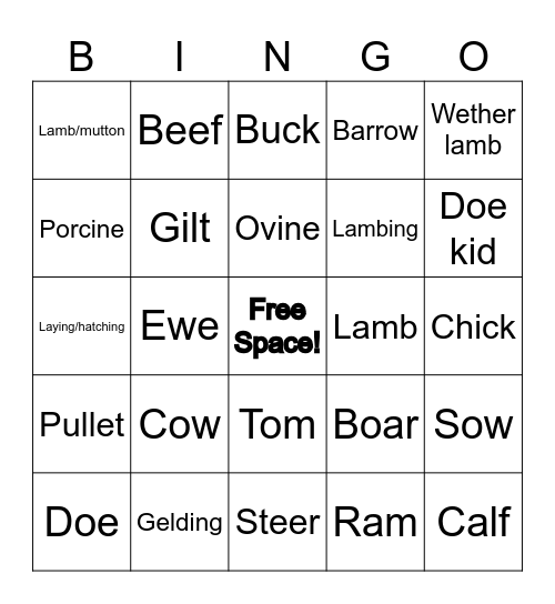 Livestock Terminology Bingo Card