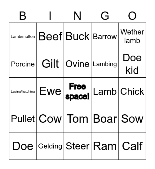 Livestock Terminology Bingo Card