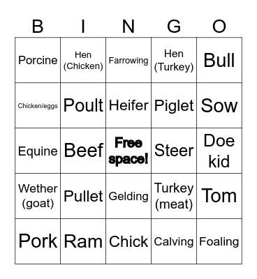 Livestock Terminology Bingo Card