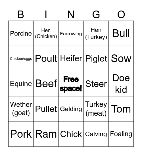 Livestock Terminology Bingo Card