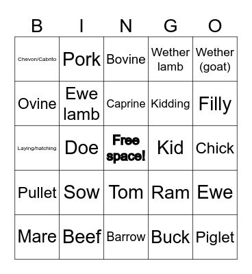 Livestock Terminology Bingo Card