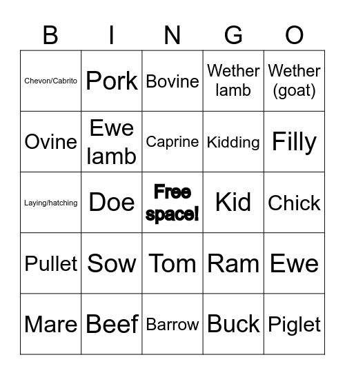 Livestock Terminology Bingo Card