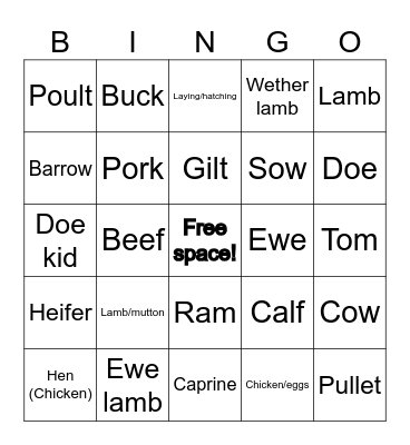 Livestock Terminology Bingo Card