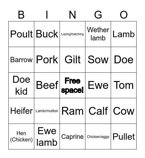 Livestock Terminology Bingo Card