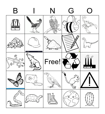 Science Bingo Card