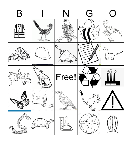 Science Bingo Card