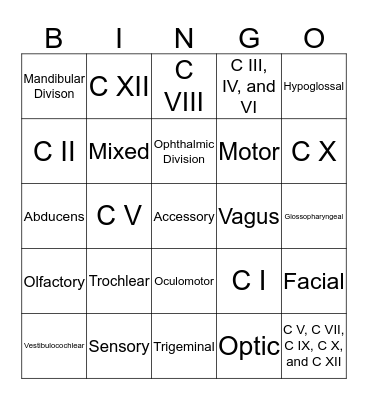 Cranial Nerves BINGO! Bingo Card